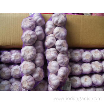 Jinxiang Garlic Braids In 30cm-60cm Length